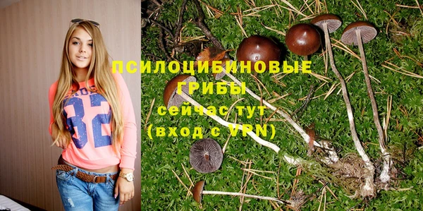 прущие крисы Абдулино