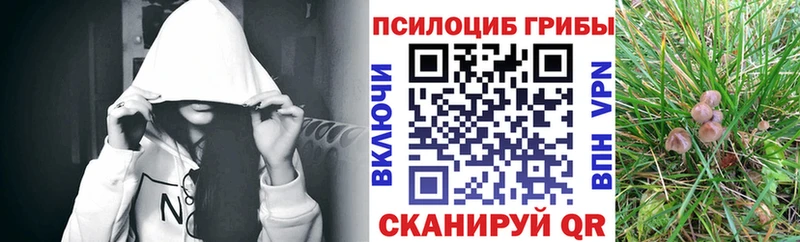 Псилоцибиновые грибы мухоморы  кракен сайт  Усолье  где найти  